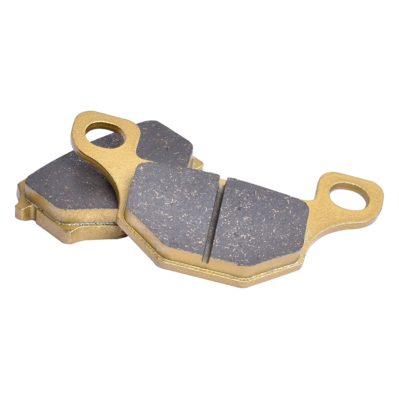 Pastiglie Freno Anteriori e Po - Brake Pads Bike recensione e prezzo