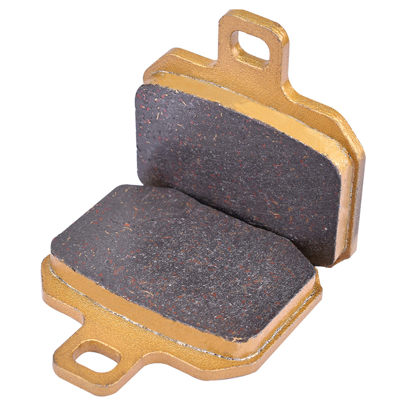 Pastiglie Freno Anteriori e Po - Brake Pads Bike recensione e prezzo