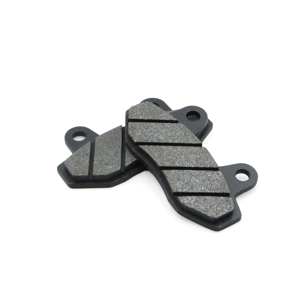 Pastiglie Freno a Disco per Sc - Brake Pads Bike recensione e prezzo