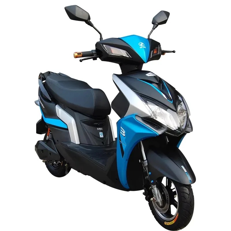 Scooter elettrici 1000W con fr - Brake Disc Motorcycle recensione e prezzo